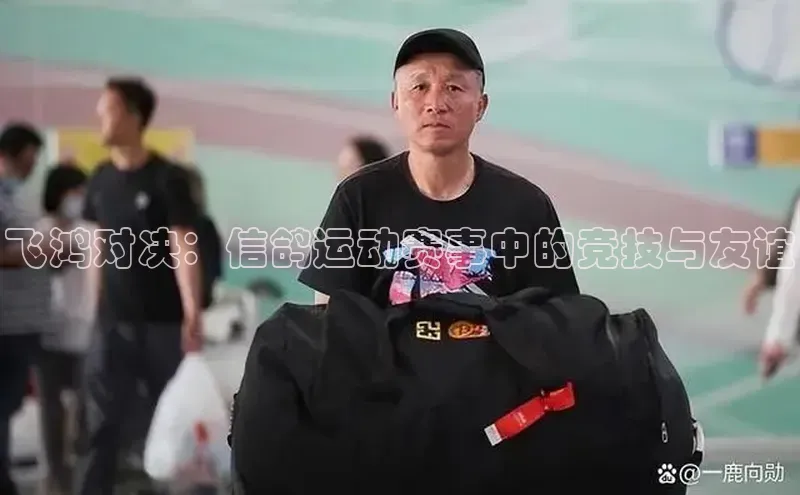 飞鸿对决：信鸽运动赛事中的竞技与友谊