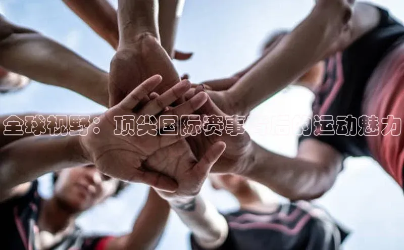 全球视野：顶尖国际赛事背后的运动魅力