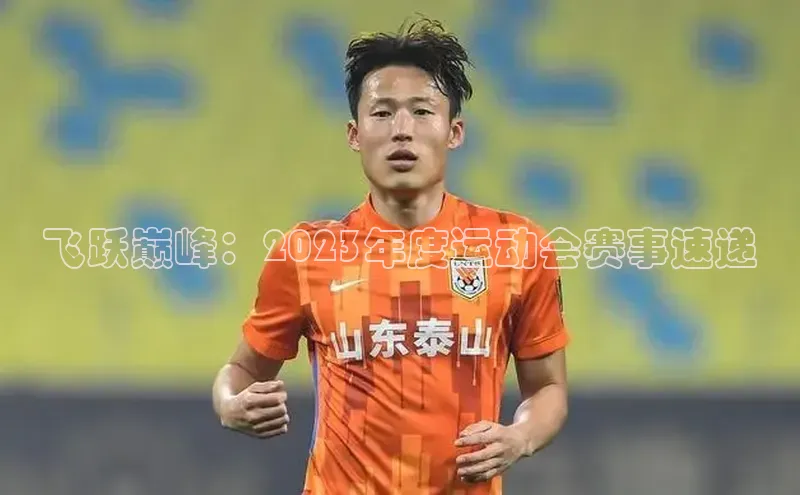 飞跃巅峰：2023年度运动会赛事速递