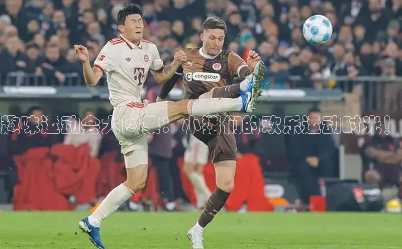 趣味运动会大图集：小猪们的欢乐运动时光！