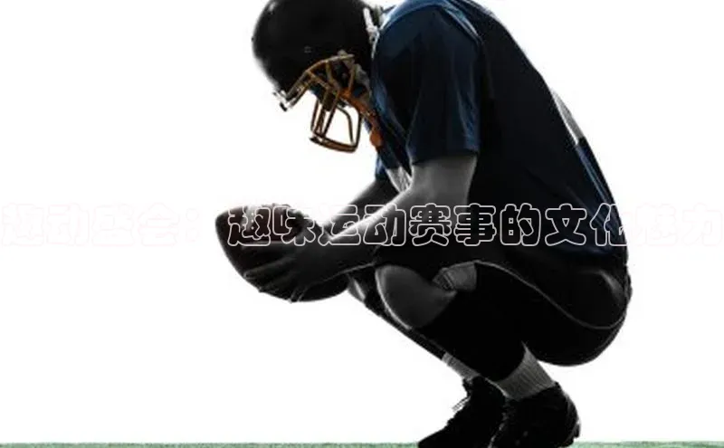 趣动盛会：趣味运动赛事的文化魅力