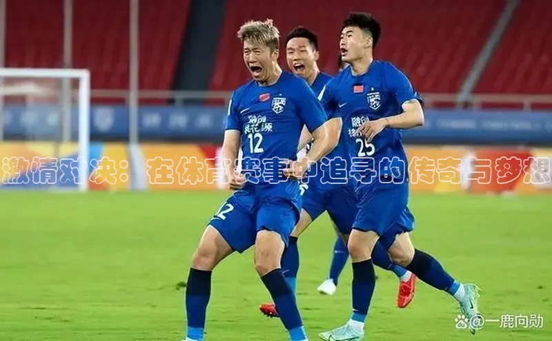 激情对决：在体育赛事中追寻的传奇与梦想